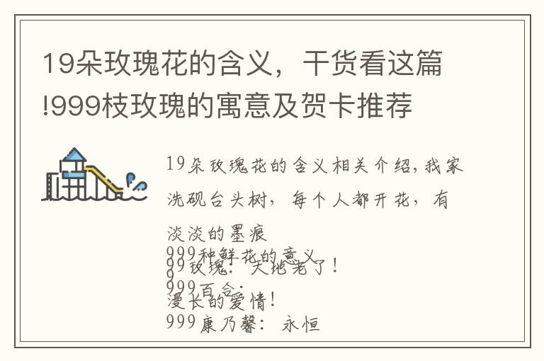 19朵玫瑰花的含义,干货看这篇!999枝玫瑰的寓意及贺卡推荐