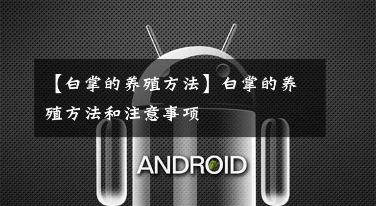 【白掌的养殖方法】白掌的养殖方法和注意事项