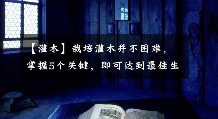 【灌木】栽培灌木并不困难,掌握5个关键,即可达到最佳生长状态