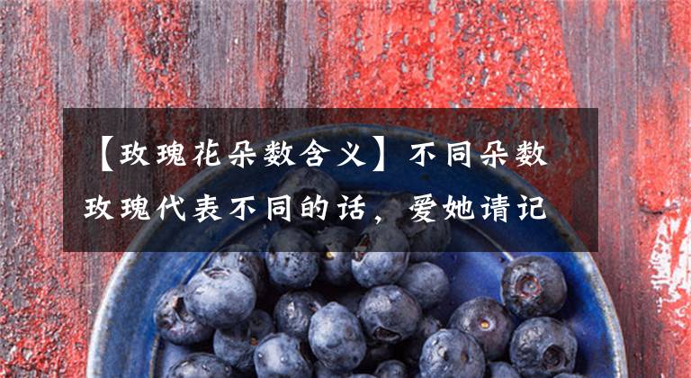 【玫瑰花朵数含义】不同朵数玫瑰代表不同的话,爱她请记住