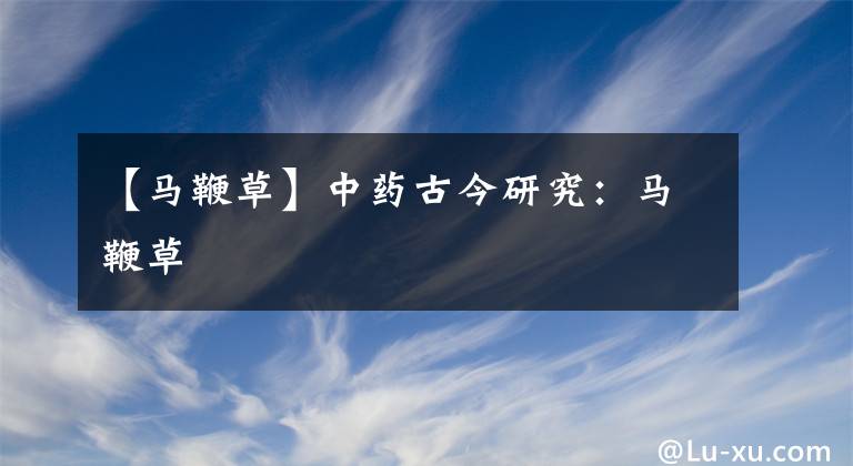 【马鞭草】中药古今研究:马鞭草