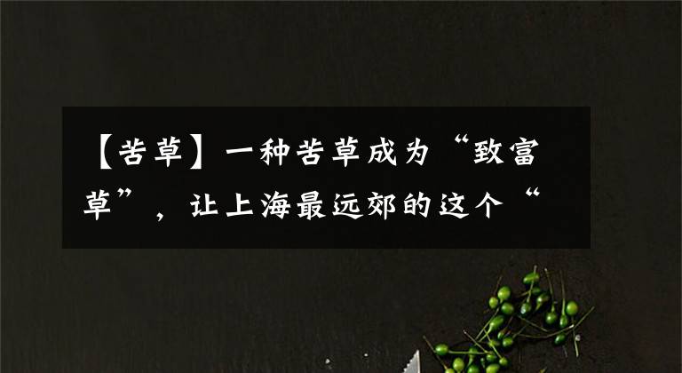 【苦草】一种苦草成为“致富草”,让上海最远郊的这个“穷村”蜕变