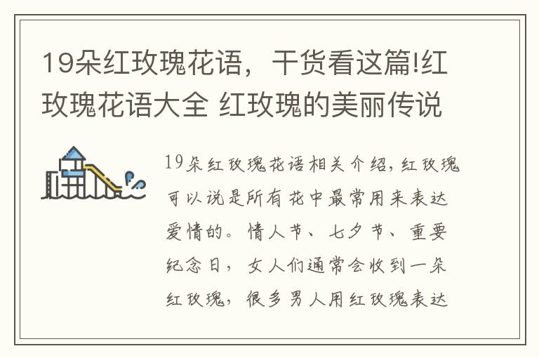 19朵红玫瑰花语,干货看这篇!红玫瑰花语大全 红玫瑰的美丽传说