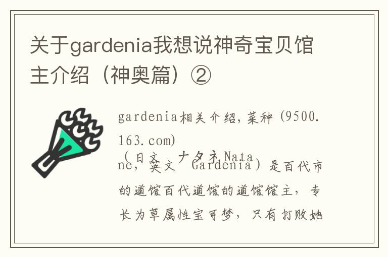 关于gardenia我想说神奇宝贝馆主介绍(神奥篇)②