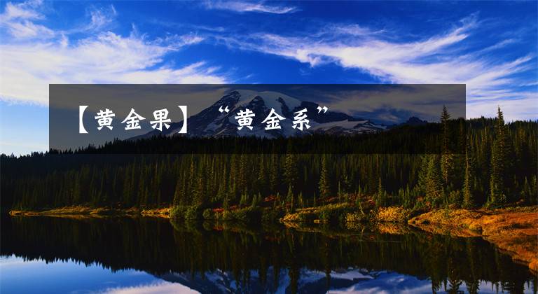 【黄金果】“黄金系”