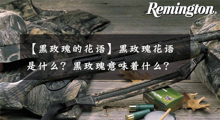 【黑玫瑰的花语】黑玫瑰花语是什么?黑玫瑰意味着什么?