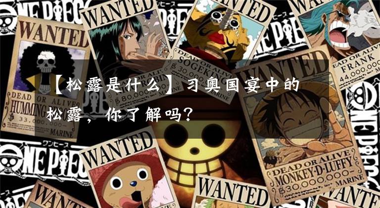 【松露是什么】习奥国宴中的松露,你了解吗?