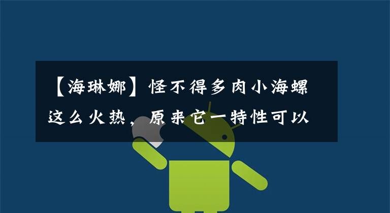【海琳娜】怪不得多肉小海螺这么火热,原来它一特性可以帮海琳娜打翻身仗