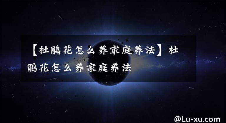 【杜鹃花怎么养家庭养法】杜鹃花怎么养家庭养法