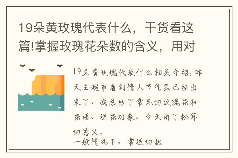 19朵黄玫瑰代表什么,干货看这篇!掌握玫瑰花朵数的含义,用对的朵数送对的人!