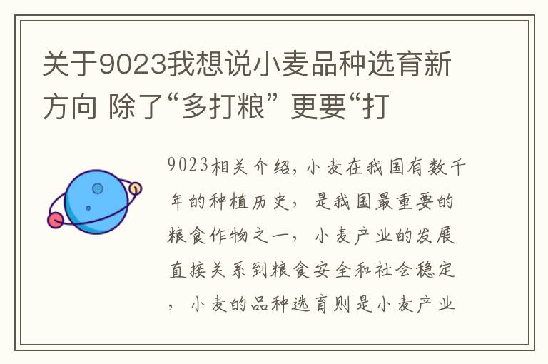 关于9023我想说小麦品种选育新方向 除了“多打粮” 更要“打好粮”