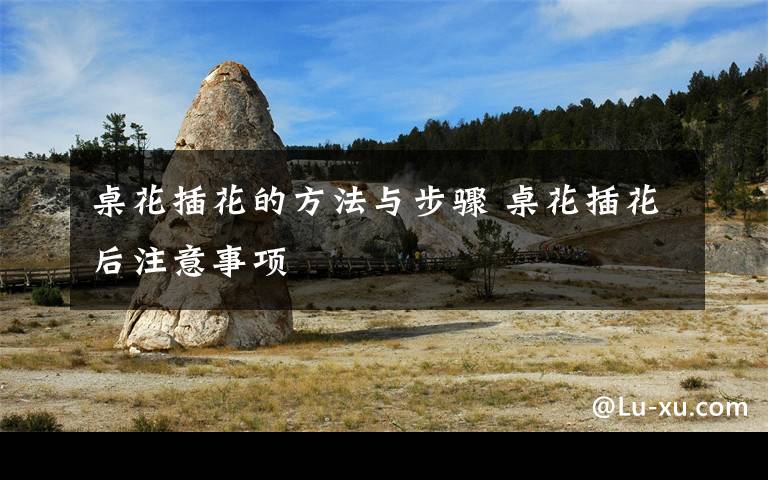 桌花插花的方法与步骤 桌花插花后注意事项