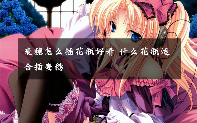 麦穗怎么插花瓶好看 什么花瓶适合插麦穗