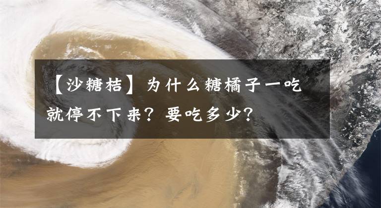 【沙糖桔】为什么糖橘子一吃就停不下来？要吃多少？