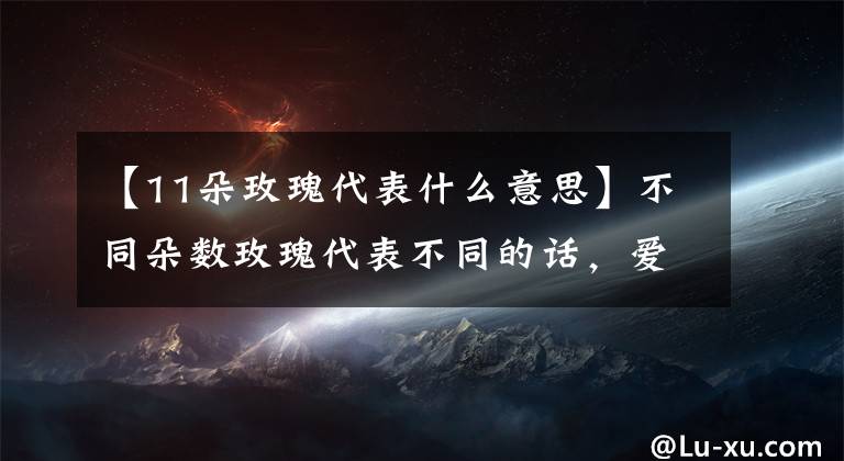 【11朵玫瑰代表什么意思】不同朵数玫瑰代表不同的话,爱她请记住