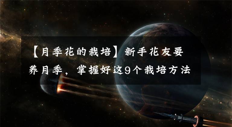 【月季花的栽培】新手花友要养月季，掌握好这9个栽培方法，养好月季就没有问题了