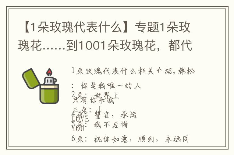 【1朵玫瑰代表什么】专题1朵玫瑰花……到1001朵玫瑰花,都代表什么,你知道吗?