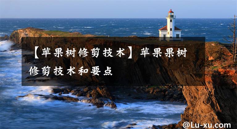 【苹果树修剪技术】苹果果树修剪技术和要点