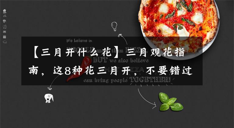 【三月开什么花】三月观花指南,这8种花三月开,不要错过花期