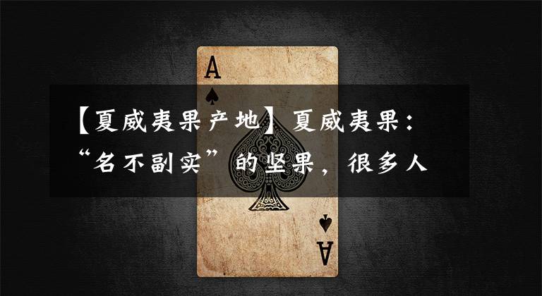 【夏威夷果产地】夏威夷果:“名不副实”的坚果,很多人都被它骗了