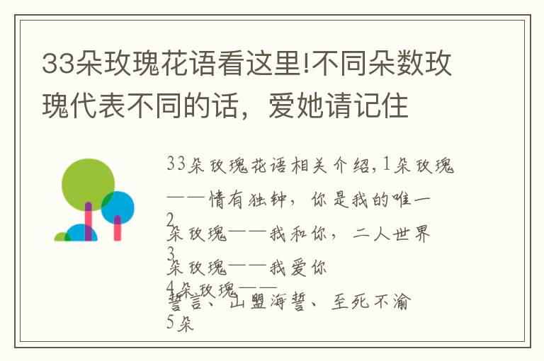 33朵玫瑰花语看这里!不同朵数玫瑰代表不同的话,爱她请记住