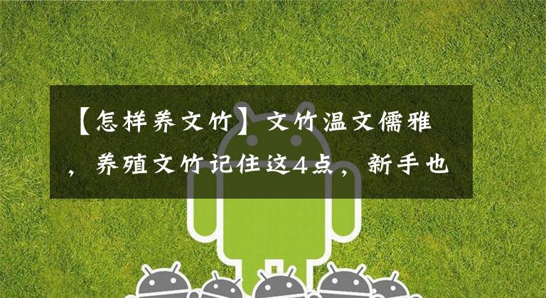 【怎样养文竹】文竹温文儒雅,养殖文竹记住这4点,新手也能学会