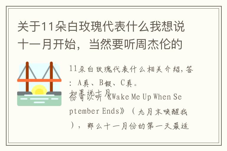 关于11朵白玫瑰代表什么我想说十一月开始,当然要听周杰伦的这张专辑丨夜问