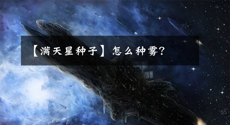 【满天星种子】怎么种雾？