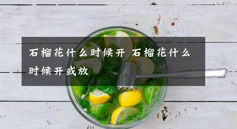 石榴花什么时候开 石榴花什么时候开或放