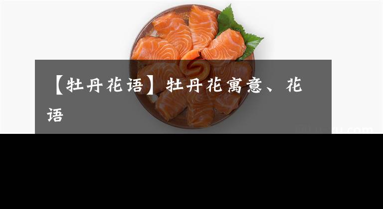 【牡丹花语】牡丹花寓意、花语