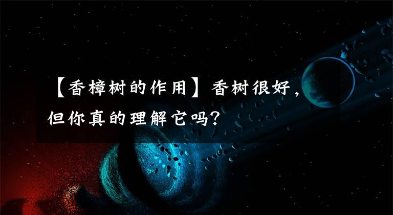 【香樟树的作用】香树很好,但你真的理解它吗?