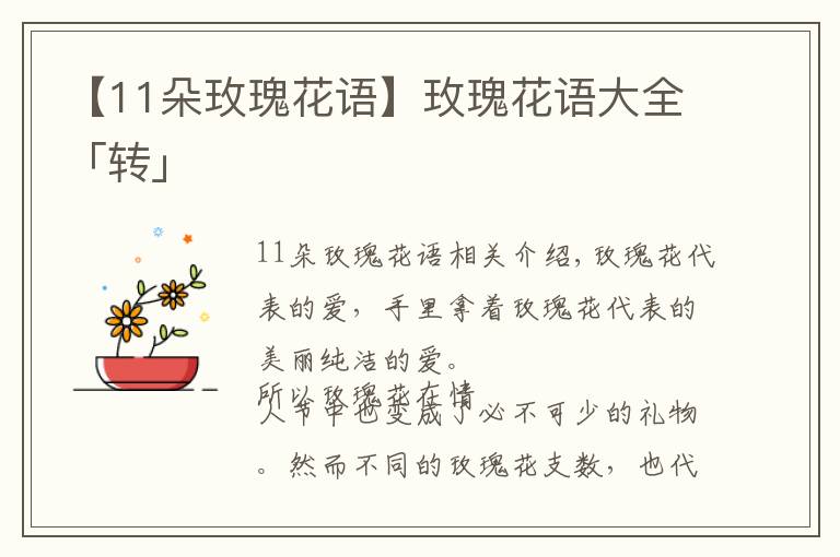 【11朵玫瑰花语】玫瑰花语大全「转」