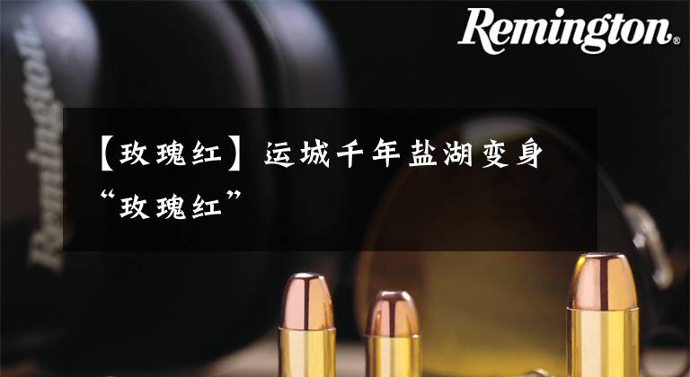 【玫瑰红】运城千年盐湖变身“玫瑰红”