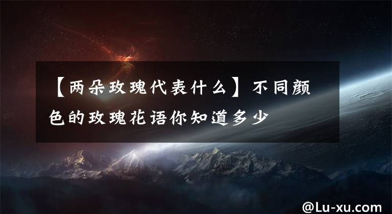 【两朵玫瑰代表什么】不同颜色的玫瑰花语你知道多少