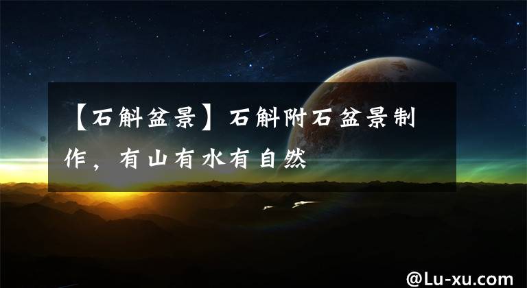 【石斛盆景】石斛附石盆景制作,有山有水有自然