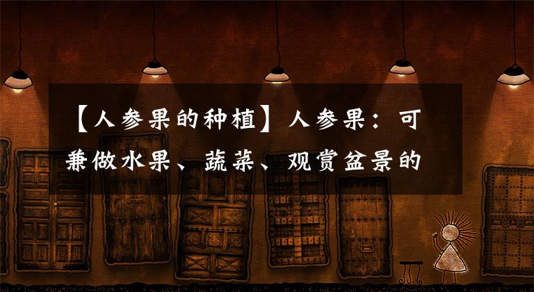 【人参果的种植】人参果:可兼做水果、蔬菜、观赏盆景的特色作物,栽培技术详解