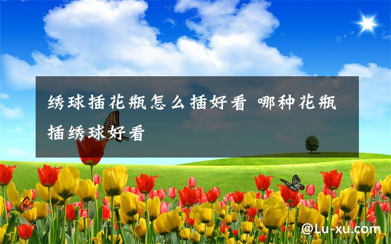 绣球插花瓶怎么插好看 哪种花瓶插绣球好看