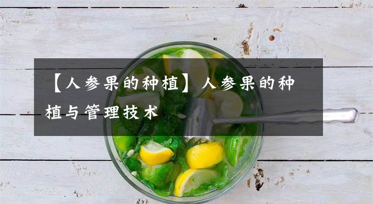 【人参果的种植】人参果的种植与管理技术