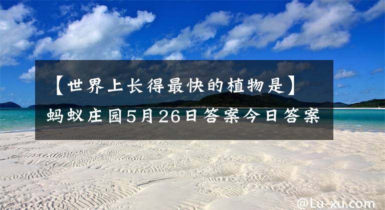 【世界上长得最快的植物是】蚂蚁庄园5月26日答案今日答案 世界上长得最快的植物是什么