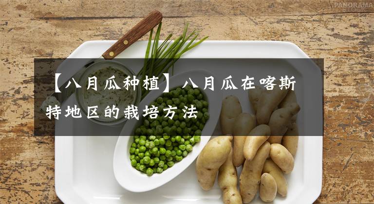 【八月瓜种植】八月瓜在喀斯特地区的栽培方法