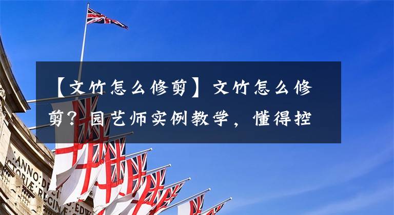 【文竹怎么修剪】文竹怎么修剪？园艺师实例教学，懂得控制重心，是修剪文竹的关键