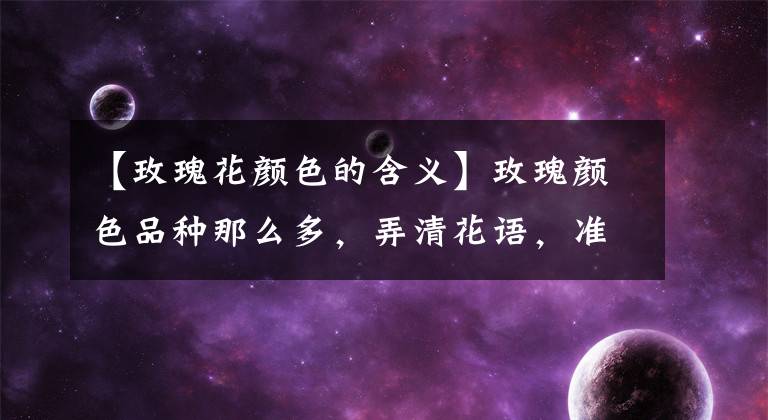 【玫瑰花颜色的含义】玫瑰颜色品种那么多,弄清花语,准能俘获妹子心