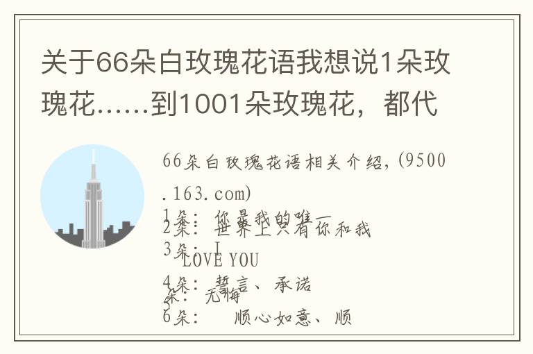 关于66朵白玫瑰花语我想说1朵玫瑰花……到1001朵玫瑰花,都代表什么,你知道吗?