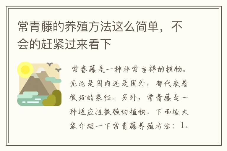 常青藤的养殖方法这么简单,不会的赶紧过来看下