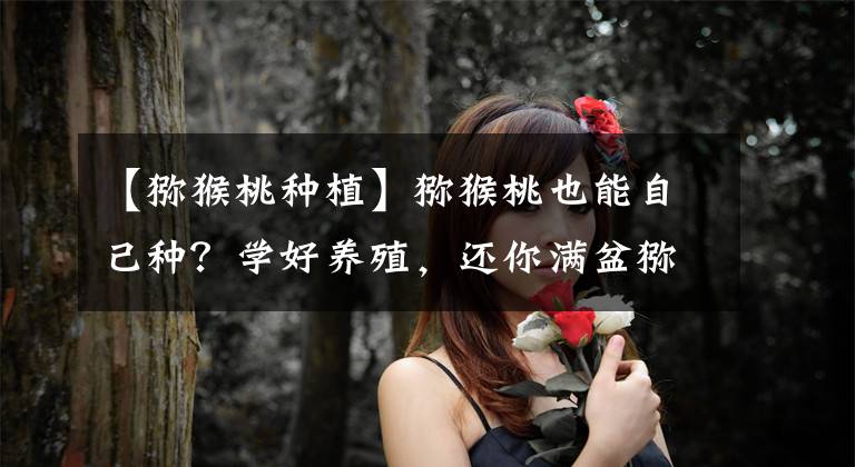 【猕猴桃种植】猕猴桃也能自己种?学好养殖,还你满盆猕猴桃