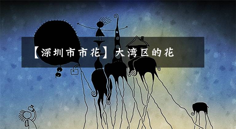 【深圳市市花】大湾区的花