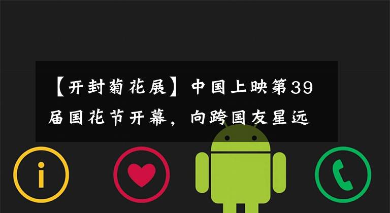 【开封菊花展】中国上映第39届国花节开幕,向跨国友星远方祝福