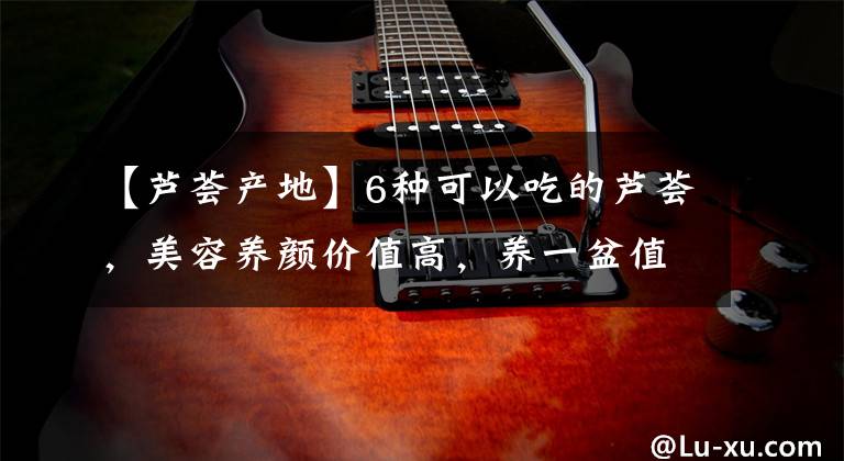 【芦荟产地】6种可以吃的芦荟,美容养颜价值高,养一盆值了