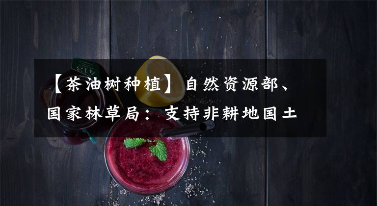 【茶油树种植】自然资源部、国家林草局:支持非耕地国土资源的利用,扩建油车。