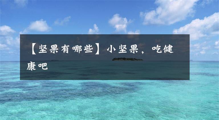 【坚果有哪些】小坚果,吃健康吧